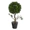 15" Potted Tabletop Boxwood Topiary Tree